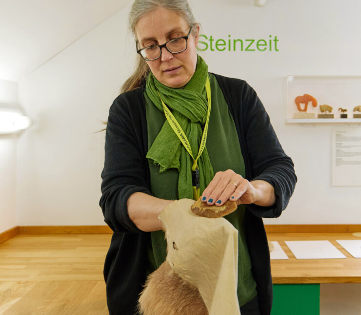 Mensch in der Steinzeit